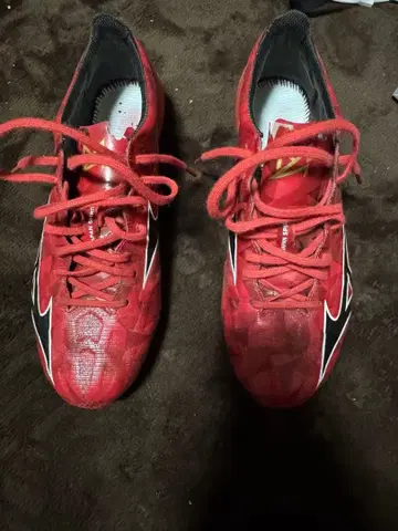 미즈노 알파 재팬 2 레드