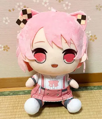 컬러풀 피치 노아