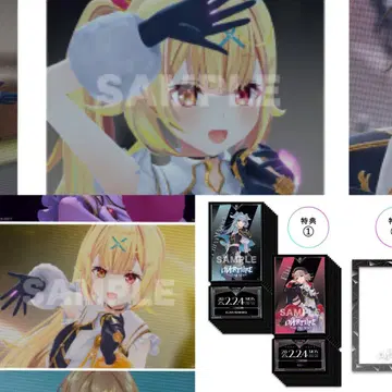 호시카와 사라 니지 페스티벌 카드