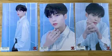 레이 REI 원앙 포스터 키라리