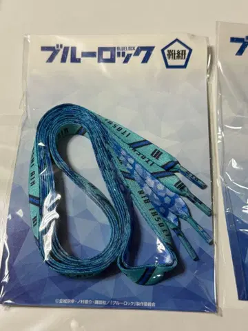 블루 록 신발끈 이토시 린