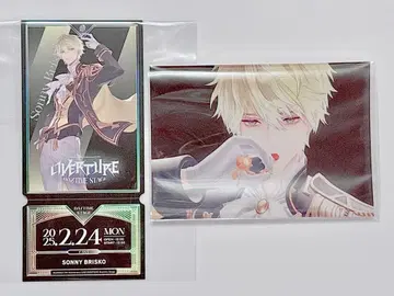 서니 블리스코 니지산지