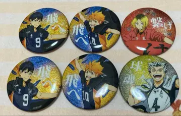 하이큐!! 캔뱃지 컬렉션 횡단막 글리터