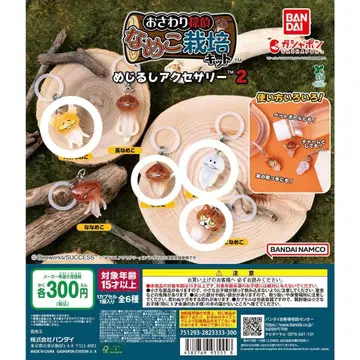 만져보자 집합 버섯 재배 키트 2