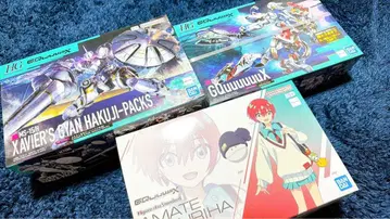 건담 프라모델 HG 엑시아 건담 액스 바닥 세트