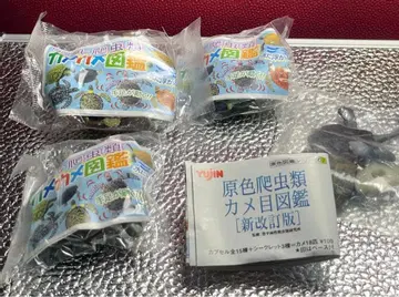 카메카메 도감 피규어 4체 세트