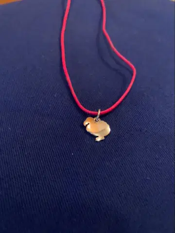 도도 Dodo 참 9금 WG