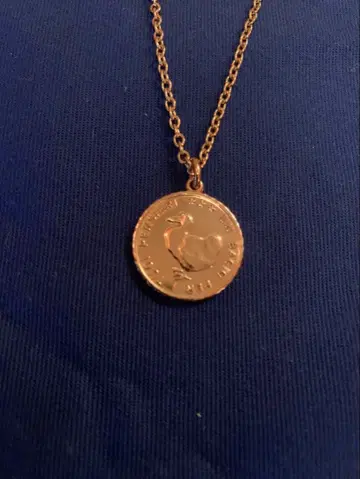 포메라토 Dodo 참 코인 9금 RG