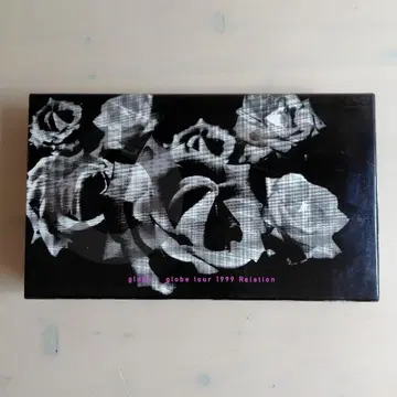 DVD globe globe tour 1999 Relation