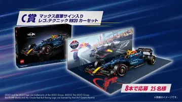 페르스타펜 친필 사인 레고 RB20 1/8 verstappen