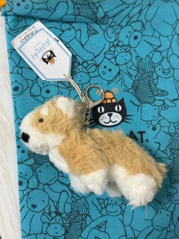 jellycat 제리캣 corgi 백참 키링 강아지