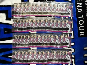 우시지마 와카토시 금박 클리어 카드 컬렉션 하이큐