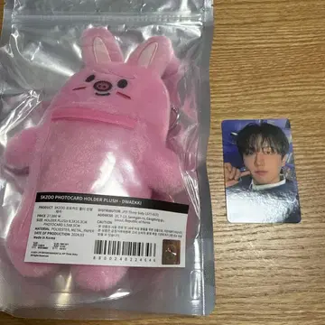 Dwaekki 창빈 돼끼 포토카드 홀더 스키즈