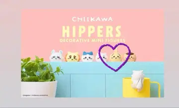 치이카와 히퍼스 토끼