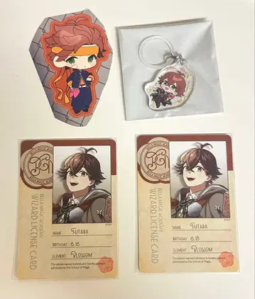 비바렌 AGF 후타바 세트 판매