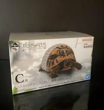 제일복권 파충류&양서류 헤르만 육지거북