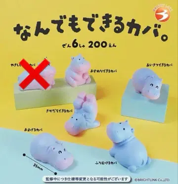 무엇이든 할 수 있는 하마. 브라이트 링크 동물 굿즈 세미 컴프