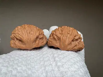 문완당: 관모대사 (무수정)