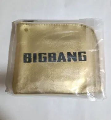 BIGBANG 골드 소형 파우치