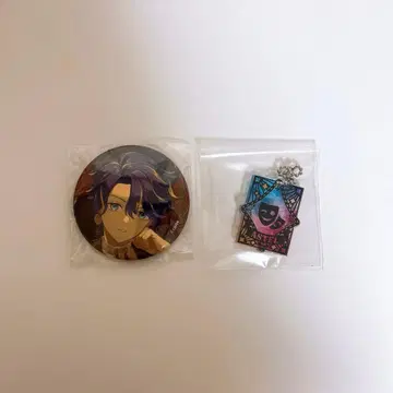 홀로스타즈 아스테르 레다 향연 캔뱃지