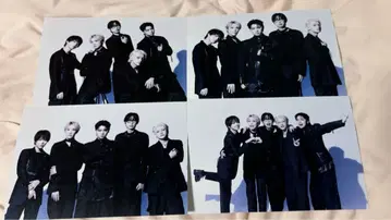 팬더드래곤 엽서 집합 세트