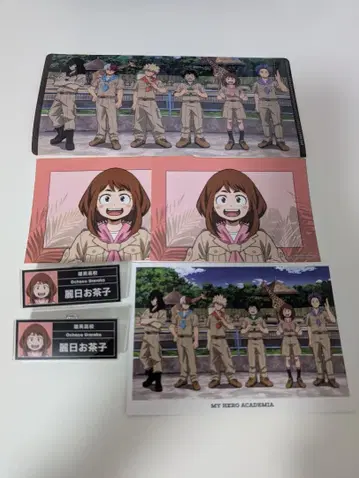 나의 히어로 아카데미아 우라라카 오챠코