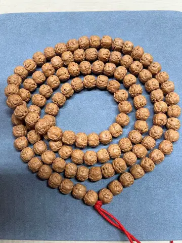 문완당: 불수 소금강 보리