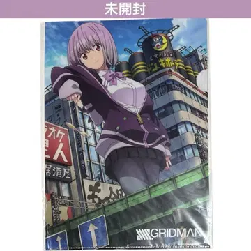 [ 귀중 ] 그리드맨 클리어 파일 돈키호테 2장 세트 신조 아카네