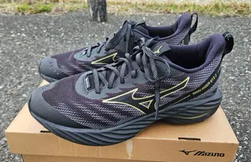 웨이브 라이더 GTX2 26.0cm