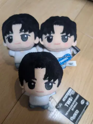 TWS SD 인형 vol.2 YOUNGJAE 영재