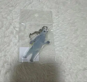 텐노지 동물원 호우짱 아크릴 키링