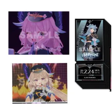 에너 알웻 Overture 특전 데카 카드 공연 사진