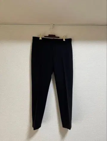 드리스반노튼 21aw 슬랙스