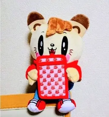 제 고양이 시라하마 아란 카드 케이스 포함 BIG 봉제 인형