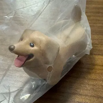 느낌 좋은 막대기를 겟한 개 닥스 3마리 몬토미