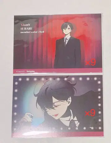 비바 렌 스바루 AGF20252