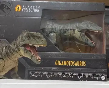 미사용품 해먼드 컬렉션 기가노토사우루스