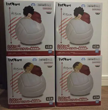 하이큐  룸 라이트 2종 4개 세트