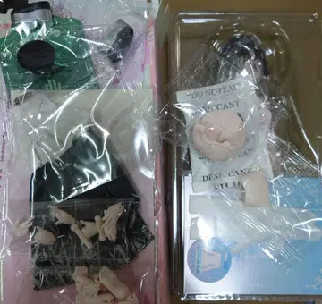 COME4FREE MINTY 운세 복권의 정령 블라인드 인형 치쿠쿄우