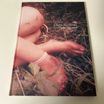 Kagero & colors 모리야마 다이도