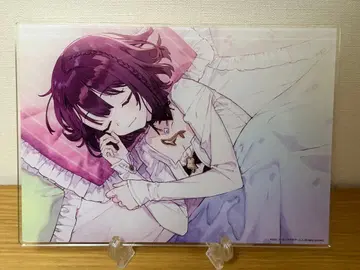 소피의 아틀리에 아크릴 아트 보드 A5 중고품