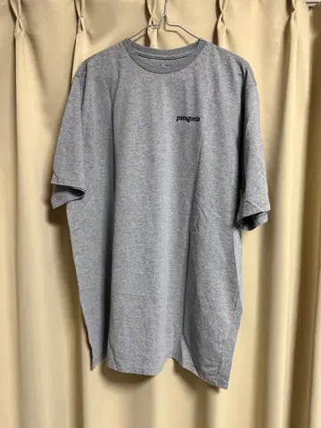 Patagonia 파타고니아 T셔츠 L 그레이 Fitz Roy