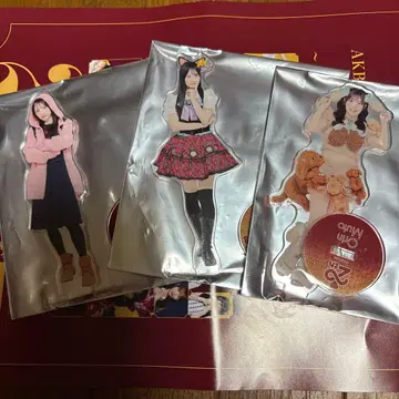 AKB48 무도관 SPECIAL 복권 아크릴 스탠드 지역 한정 키링 외