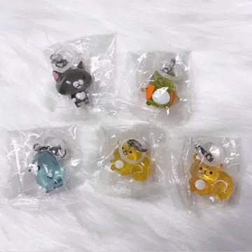 토끼 모피 메지루시 액세서리 가챠 소라 켈리 모글리 수