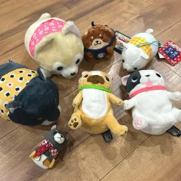 강아지 봉제 인형 모음 세트 콩 시바 삼형제 충견 모치시바 부르부르부