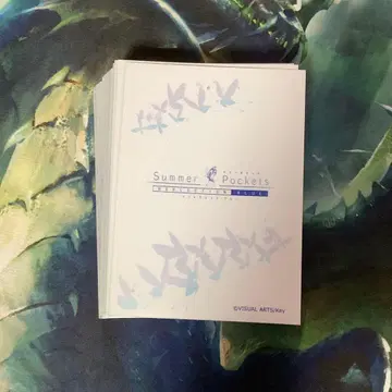 Summer Pockets 슬리브 로고 중고 50개