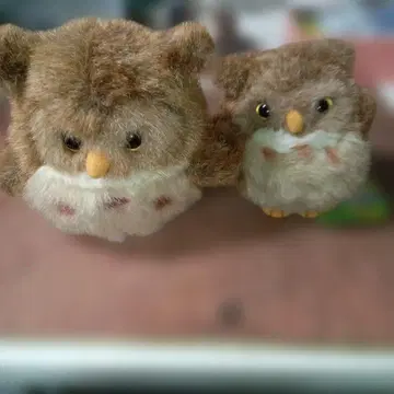 올빼미 봉제 인형 세트
