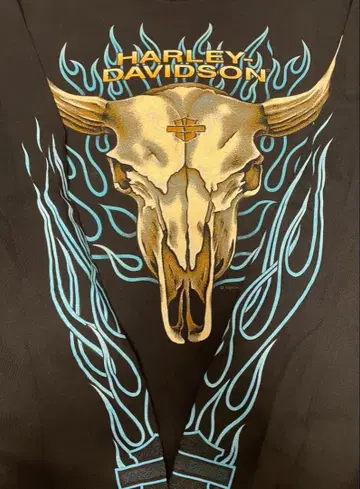 [레어] 90s 할리데이비슨 블루 프레임 빈티지 티셔츠 구제 의류