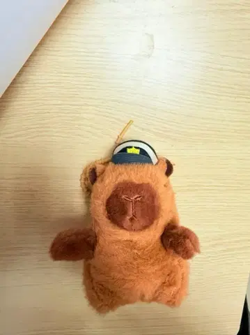 브라운색 곰 모양 봉제 인형 모자 포함