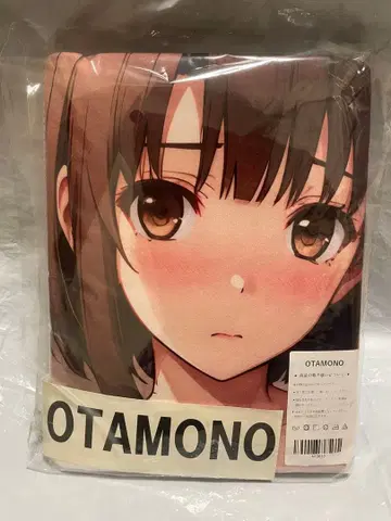 13610 미 시원찮은 그녀를 위한 육성방법 플랫 카토 메구미